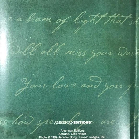 Set of 3 Hardcover Journals - Green Appointments, Cream Flower, Wine Fantasies - Picture 7 of 16